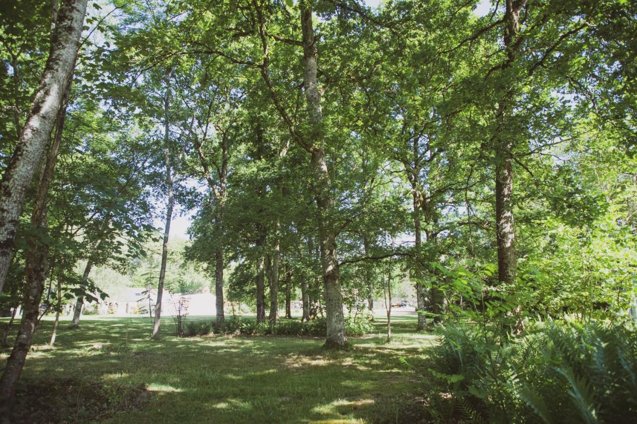 Domaine De Montizeau Bed & Breakfast Lailly-en-Val Екстериор снимка